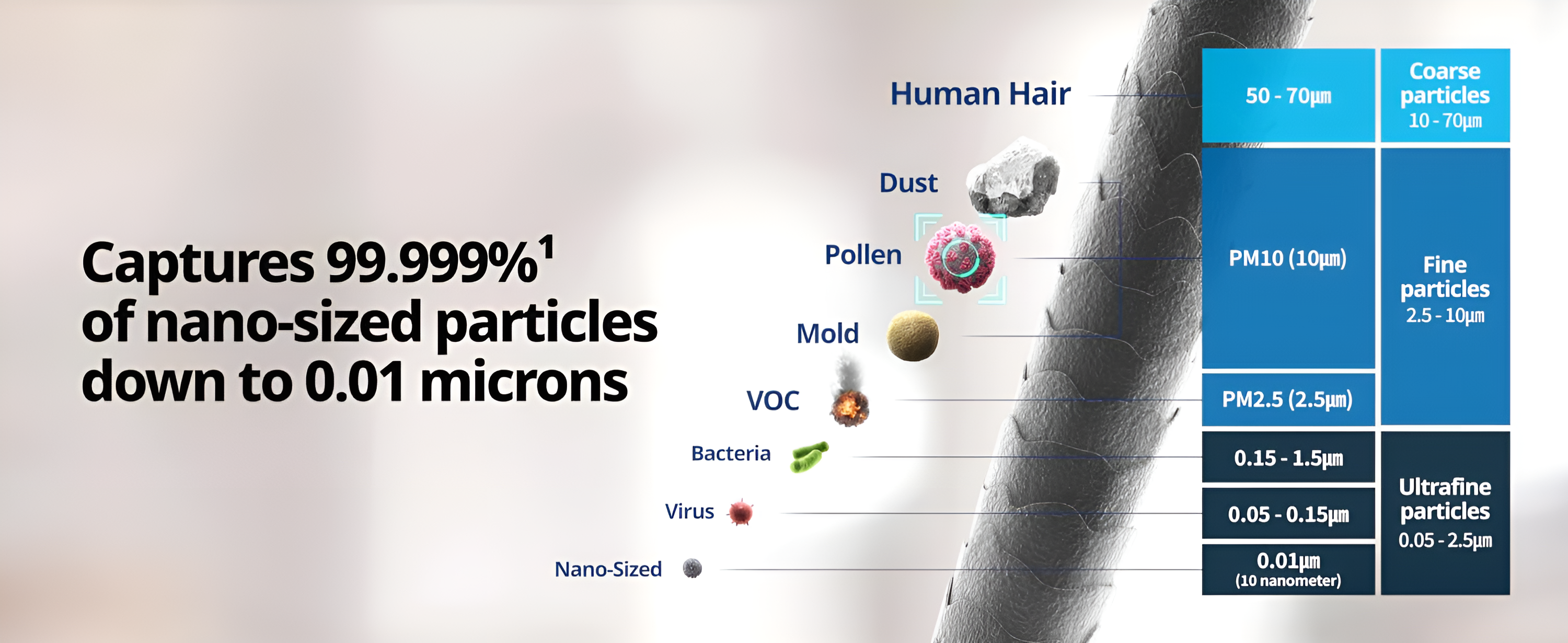 cb662ff8-b0d0-4e6c-8d2e-9425a77ca440._CR0,0,3000,1230_SX3000_